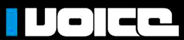 Logo IBIZA VOICE